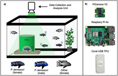 SARTAB, a scalable system for automated real-time behavior detection based on animal tracking and Region Of Interest analysis: validation on fish courtship behavior